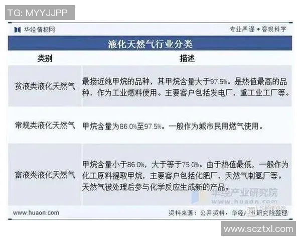 数据分析在液化天然气行业中的应用与意识提升探讨
